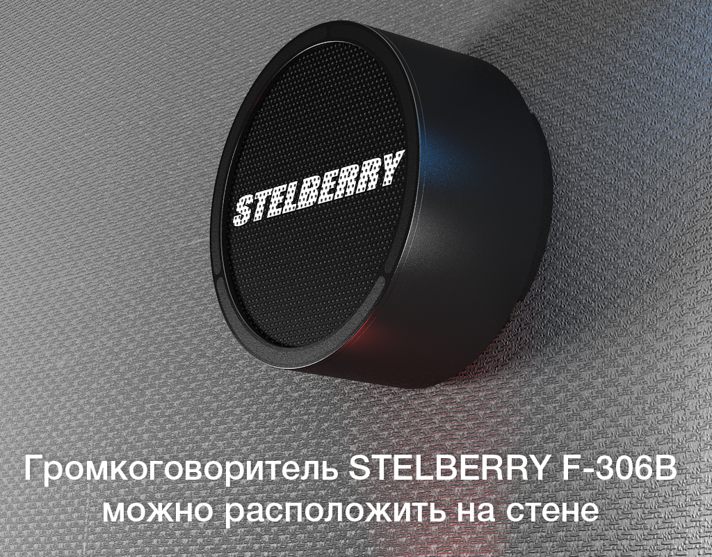 STELBERRY F-306B можно расположить на любой стене