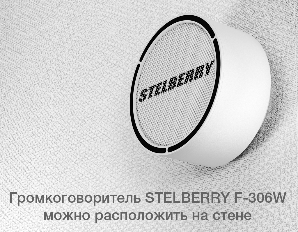 STELBERRY F-306W можно расположить на любой стене