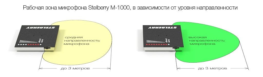 Зона направленности микрофона STELBERRY M-1000